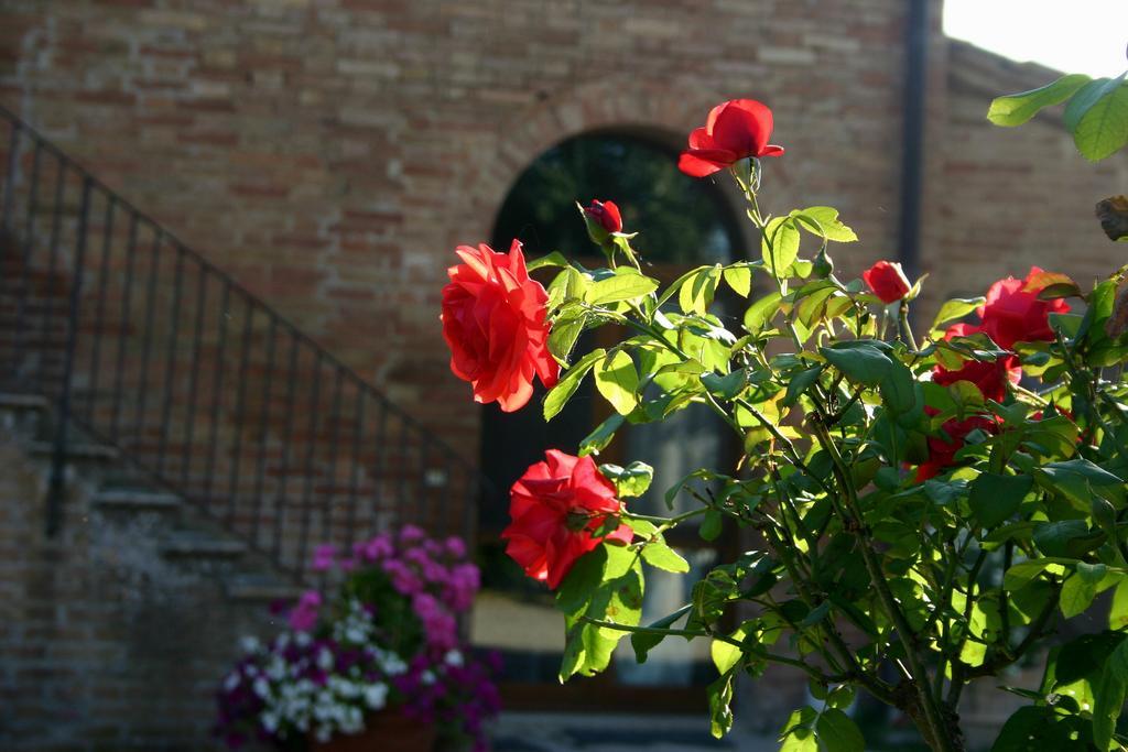 Fattoria Armena Villa Buonconvento Exterior foto