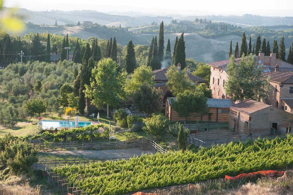 Fattoria Armena Villa Buonconvento Exterior foto